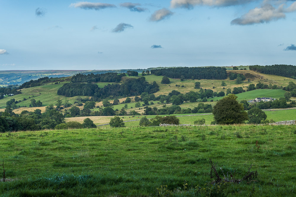 Stanton Moor